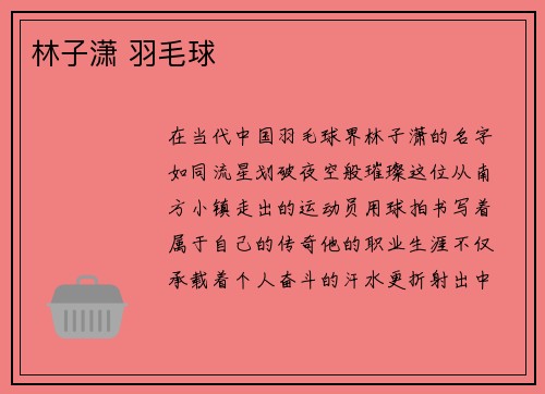 林子潇 羽毛球